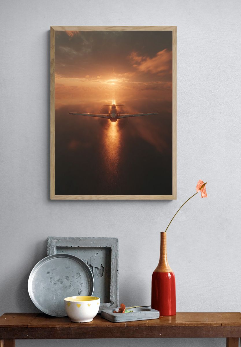 Sunset Flight Photography Poster. — room view 3