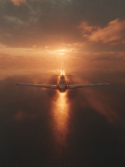 Sunset Flight Photography Poster. poster print