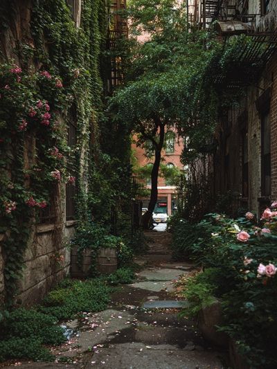 Hidden Garden Alley Photography Poster. poster print