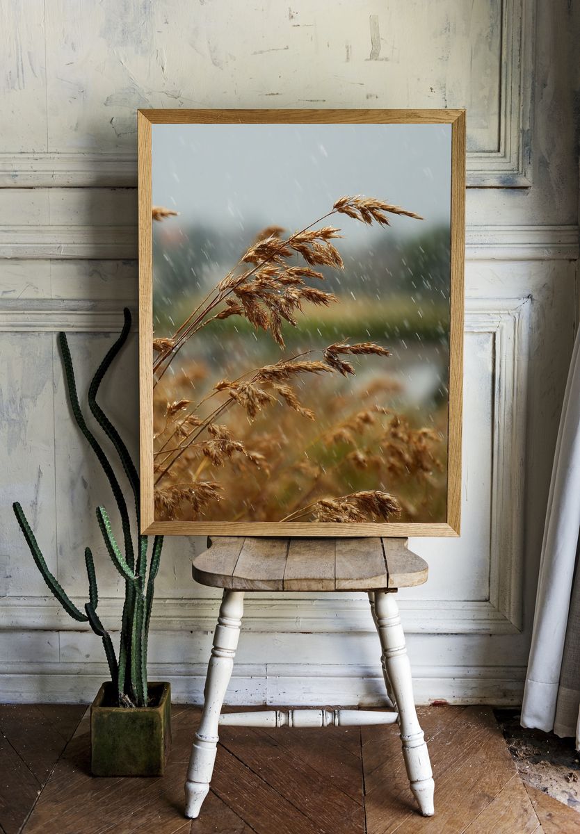 Rainy Meadow Grass Photography Poster. — room view 1