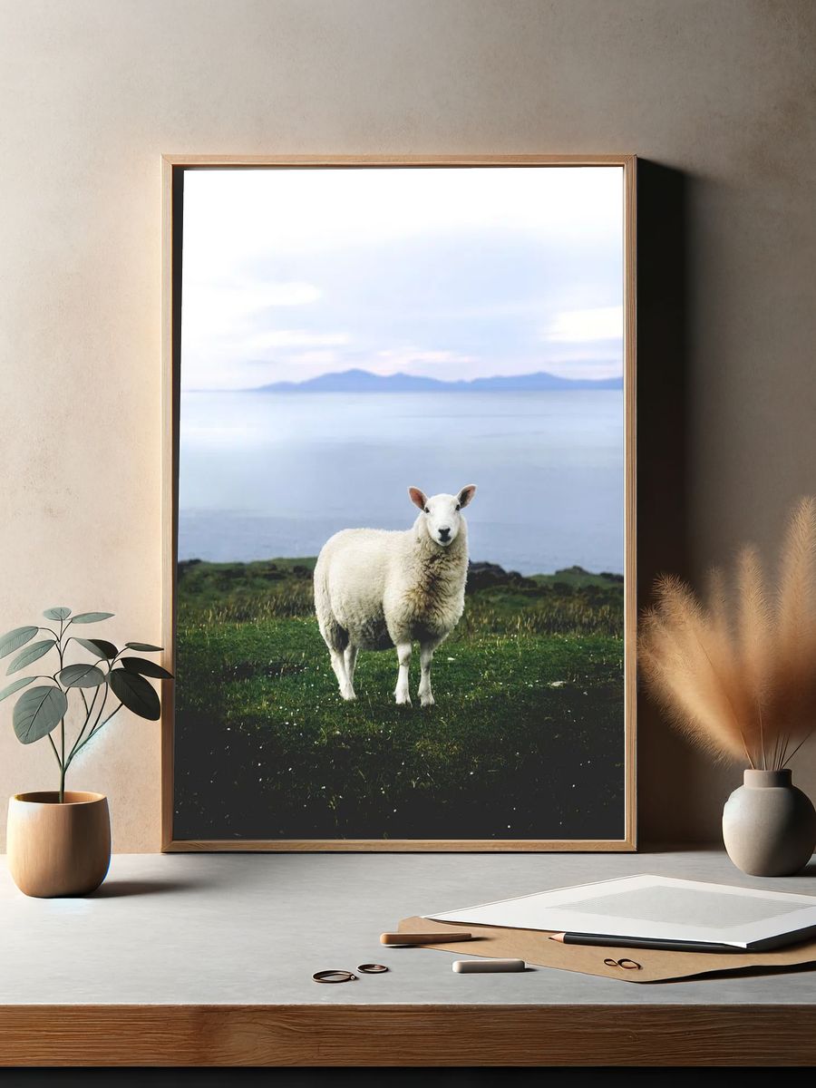 Coastal Sheep Photography Poster. — room view 2