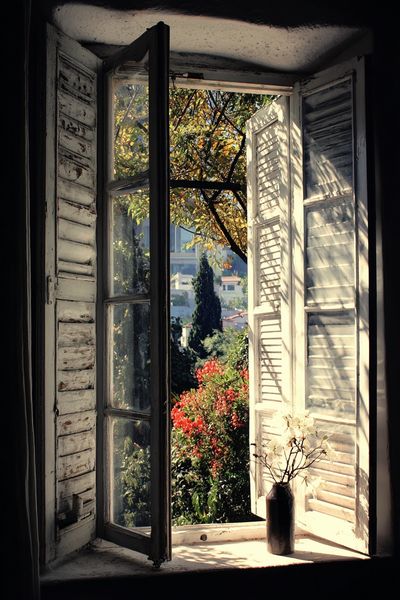 Sunlit Window Garden Photography Poster. poster print