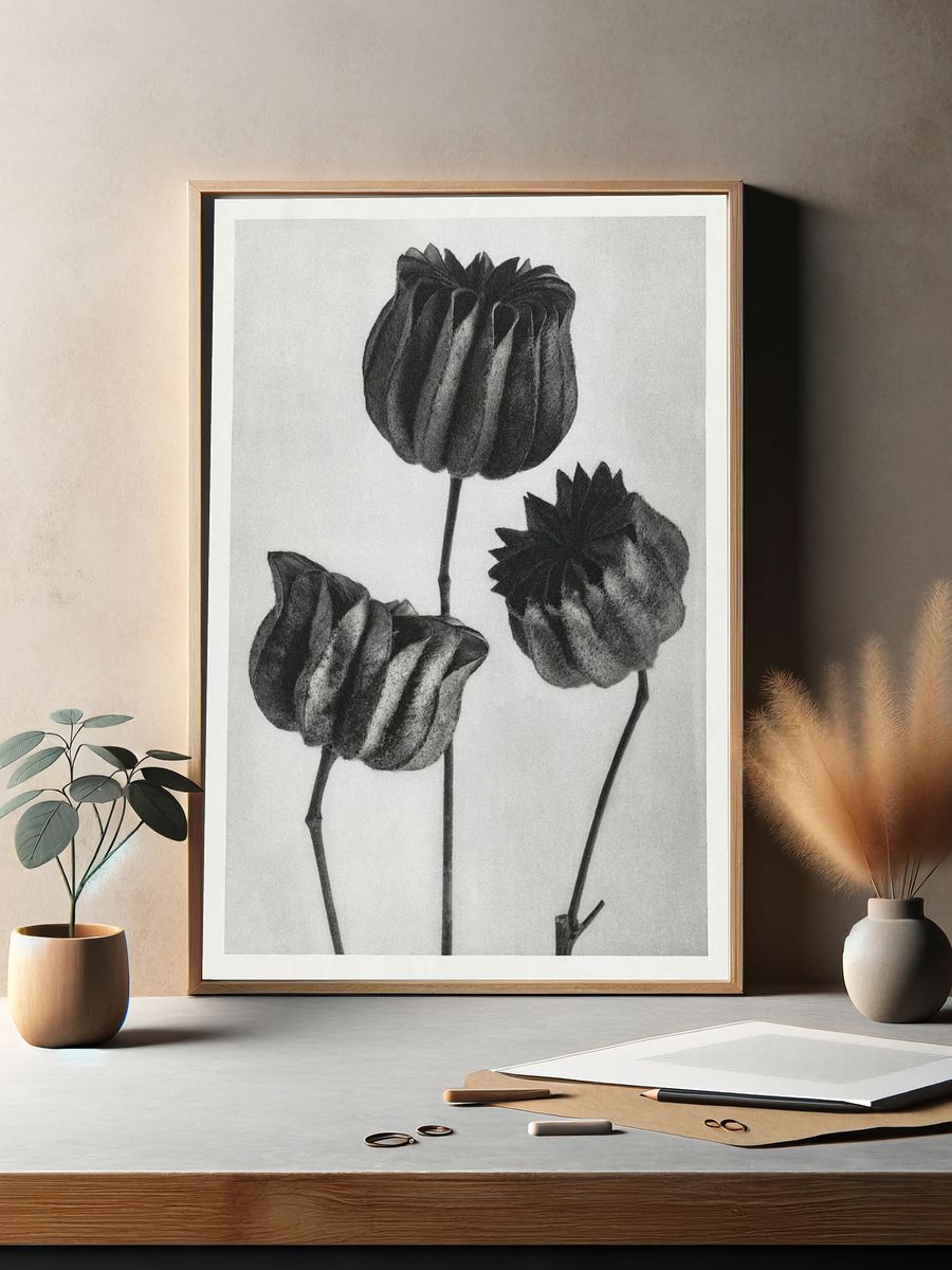 Abutilon (Lime Mallow) Pod — Art Print. — room view 2