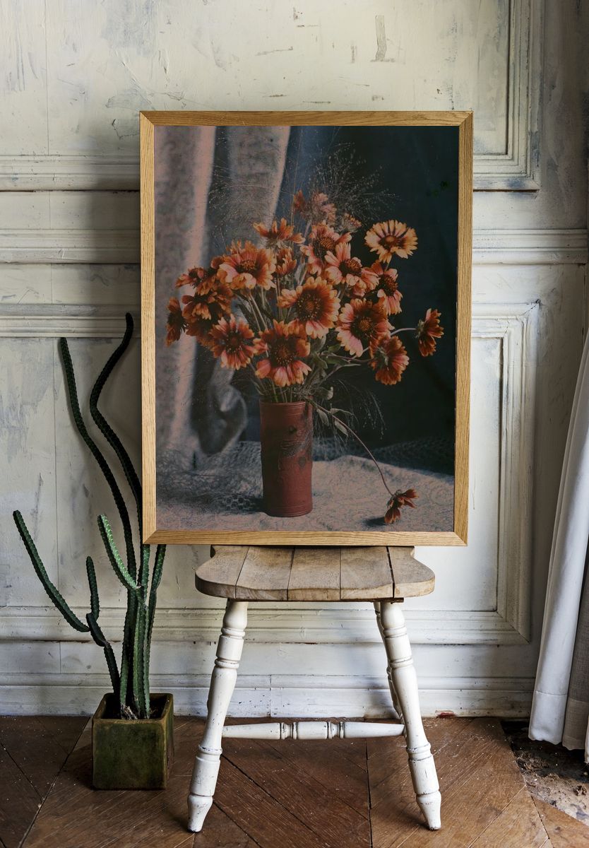 Gaillardias by Robert Walrond (1918) — Art Print. — room view 1