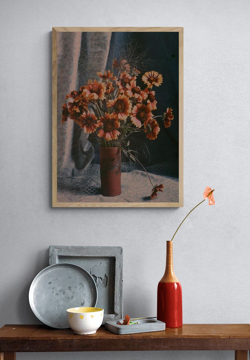 Gaillardias by Robert Walrond (1918) — Art Print. — room view 3