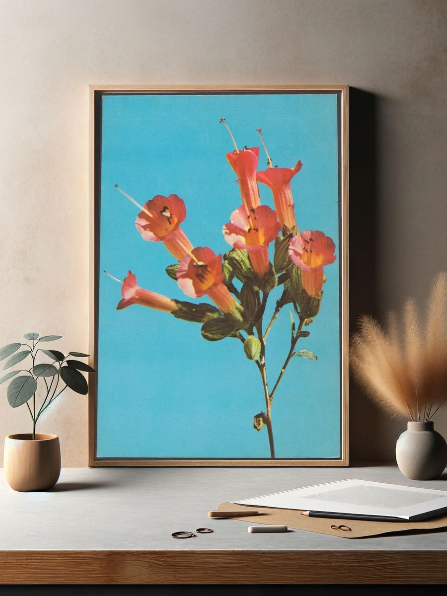 Kantuta Flor Simbolica, Bolivia — Art Print. — room view 2