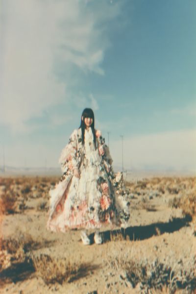 Desert Fashion Portrait Poster. poster print