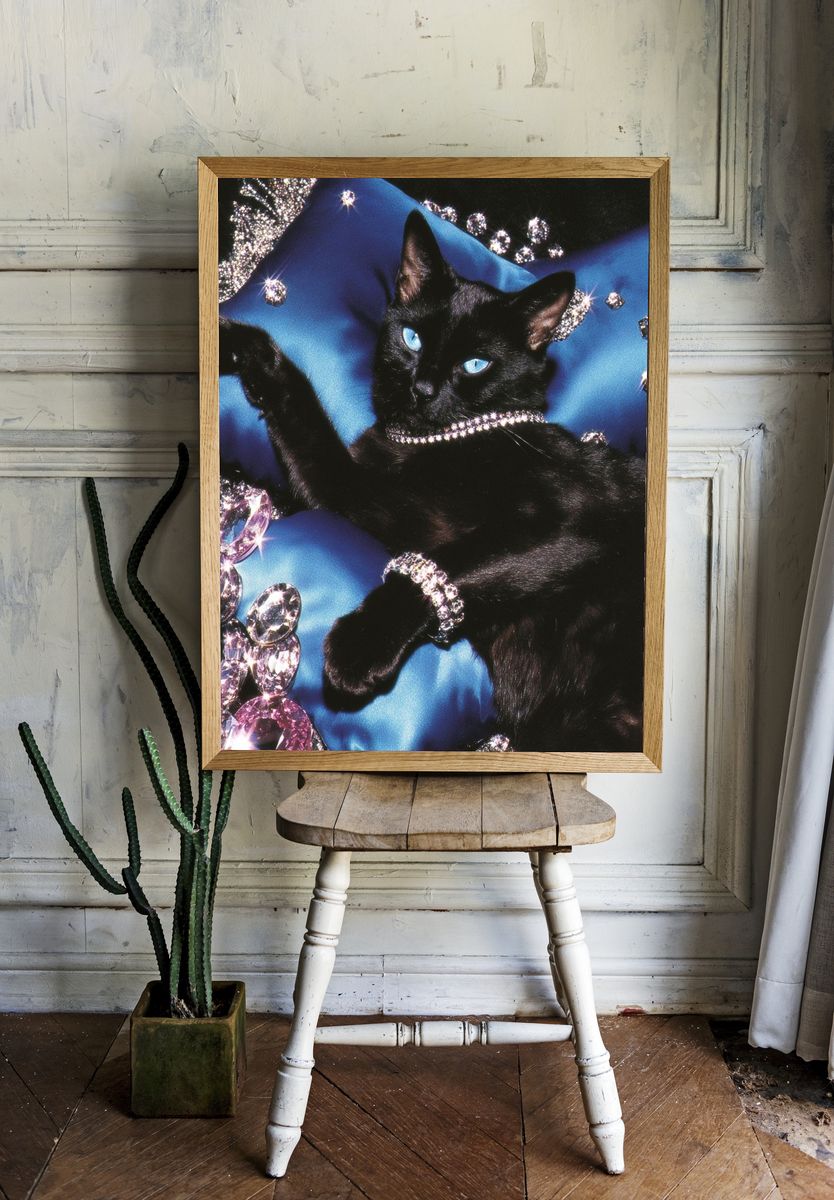 Black Cat Glamour Photography Poster. — room view 1