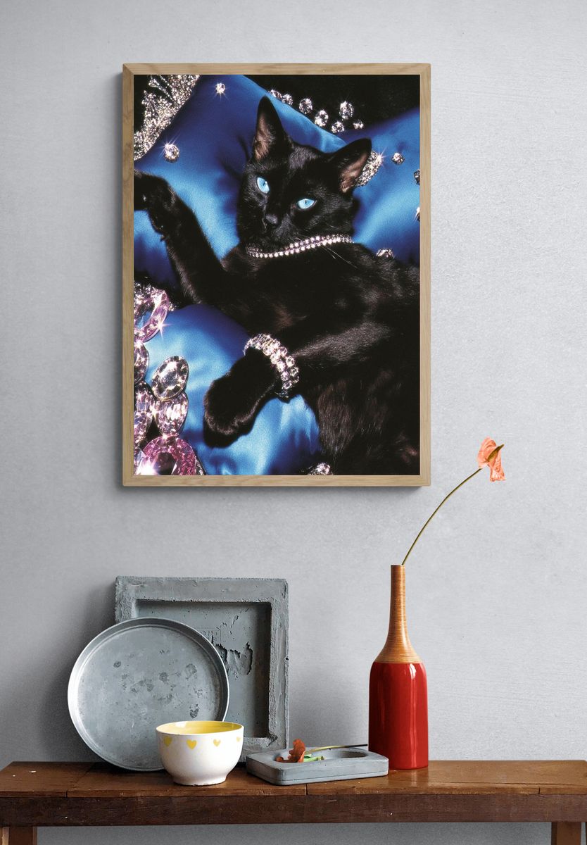 Black Cat Glamour Photography Poster. — room view 3