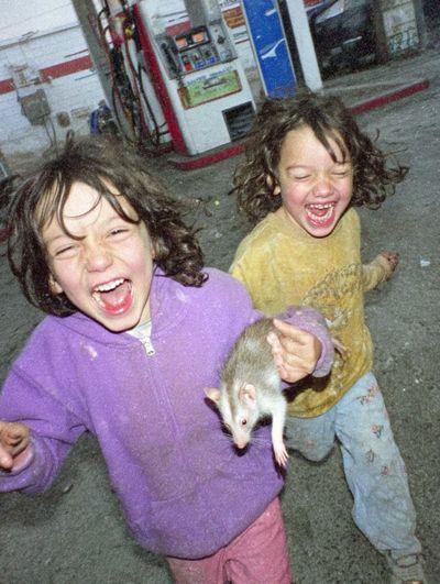 Children with Rat Snapshot Poster. poster