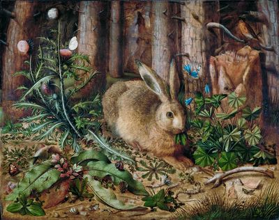 Rabbit in Nature — Fine Art Print. poster print