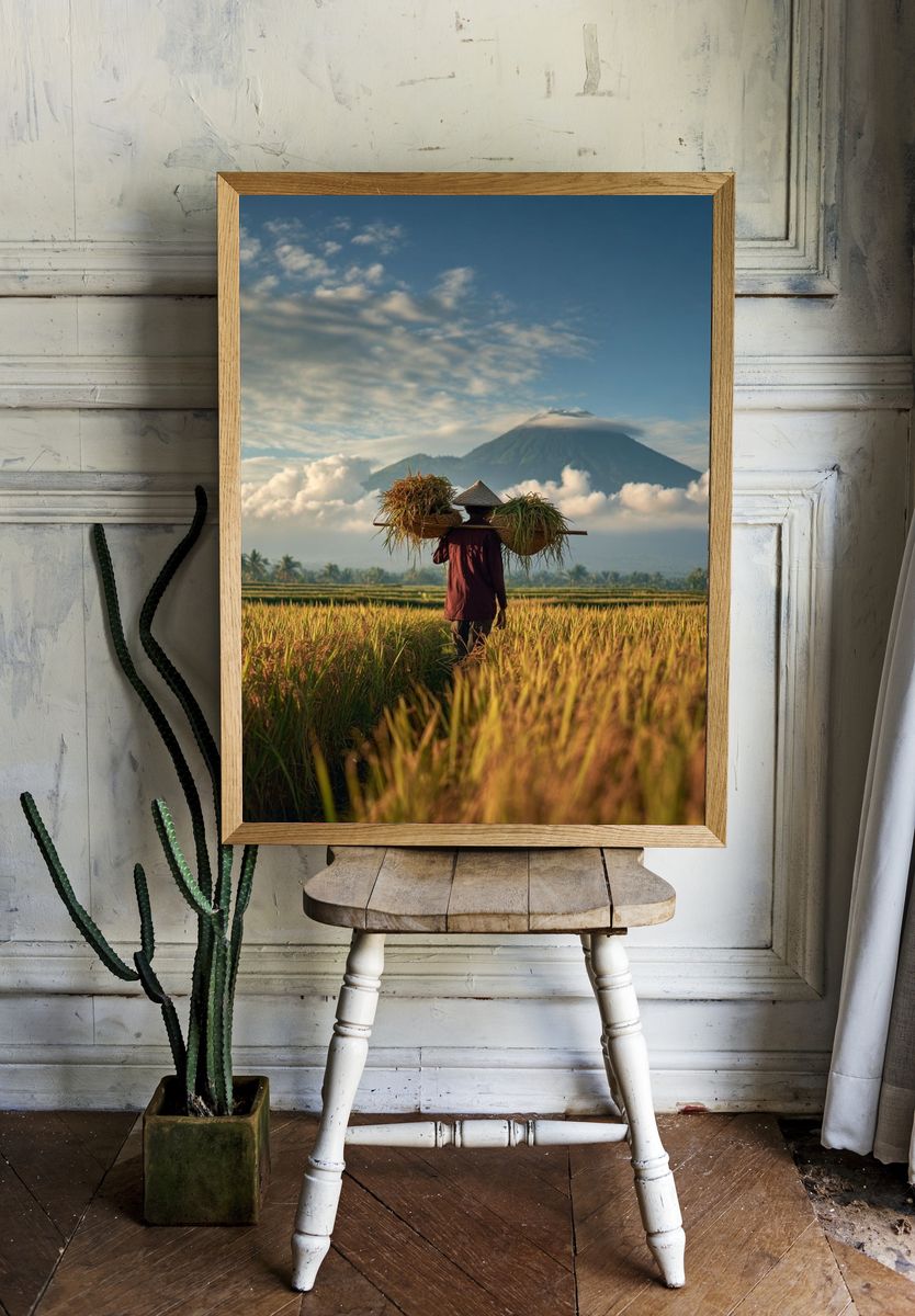 Rice Farmer in the Fields — Photography Print. — room view 1