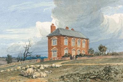 Rural House with Sheep — Fine Art Print. poster print