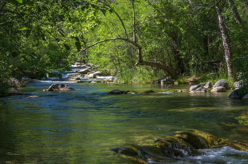 Serene River Landscape — Calming Nature Wall Art Print. poster detail