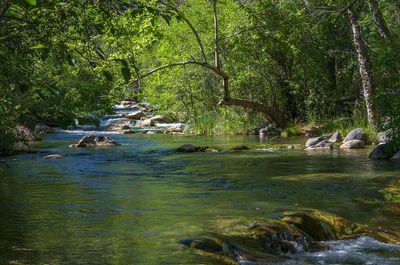 Serene River Landscape — Calming Nature Wall Art Print. poster