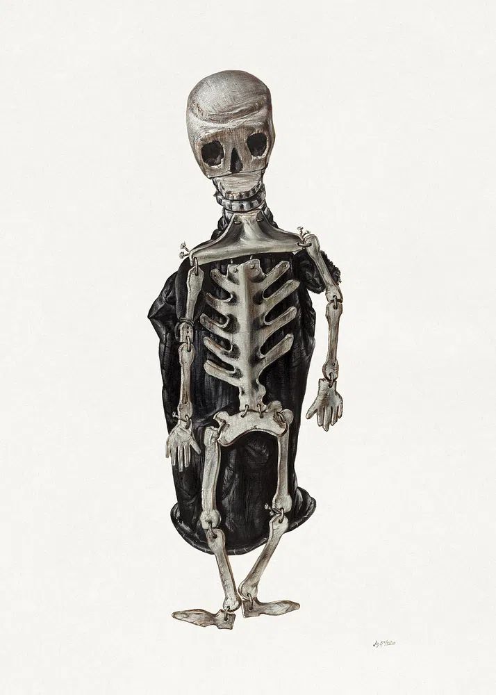 Skeleton Study — Fine Art Print. poster — fine-art art