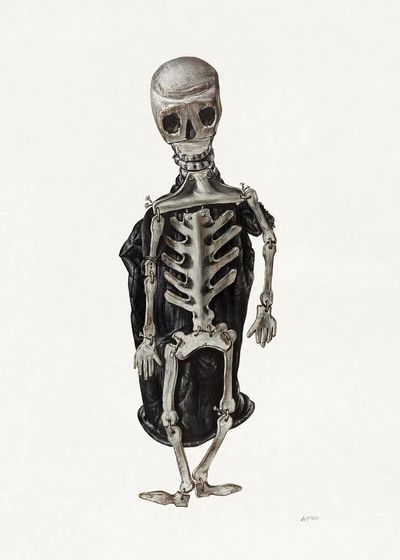 Skeleton Study — Fine Art Print. poster