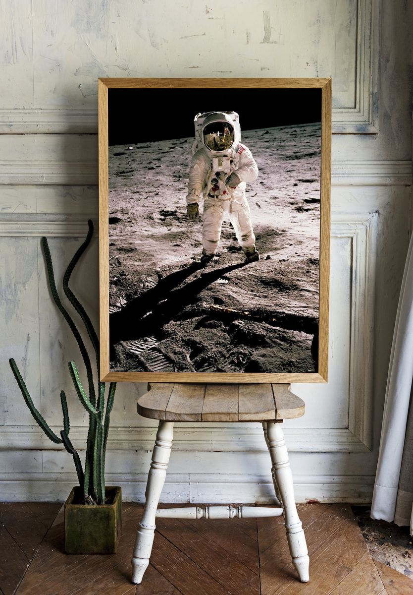 Edwin Aldrin walking lunar surface room preview