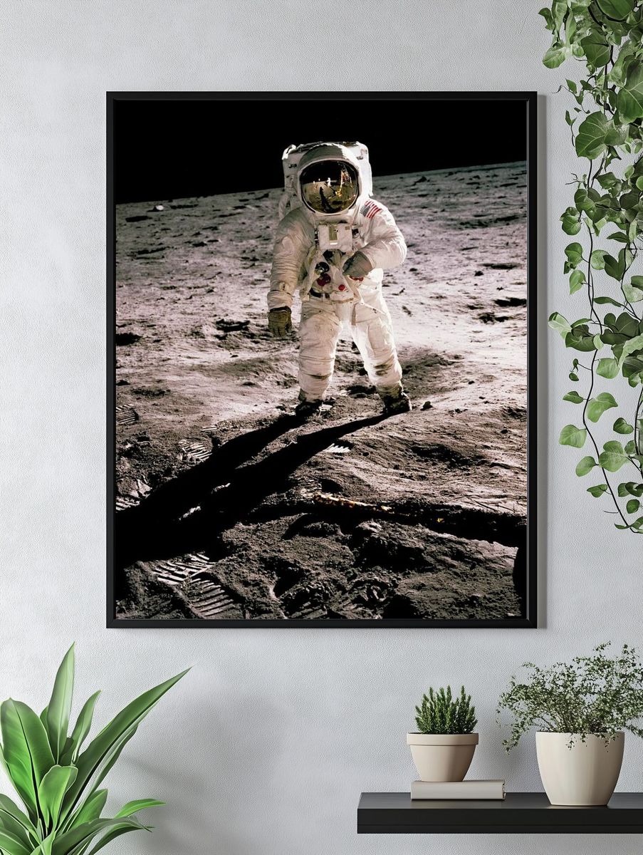 Edwin Aldrin walking lunar surface. — room view 4