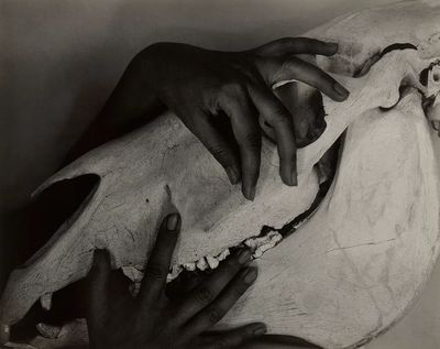 Hands and Horse Skull by Georgia O’Keeffe (1931) — Art Print. poster