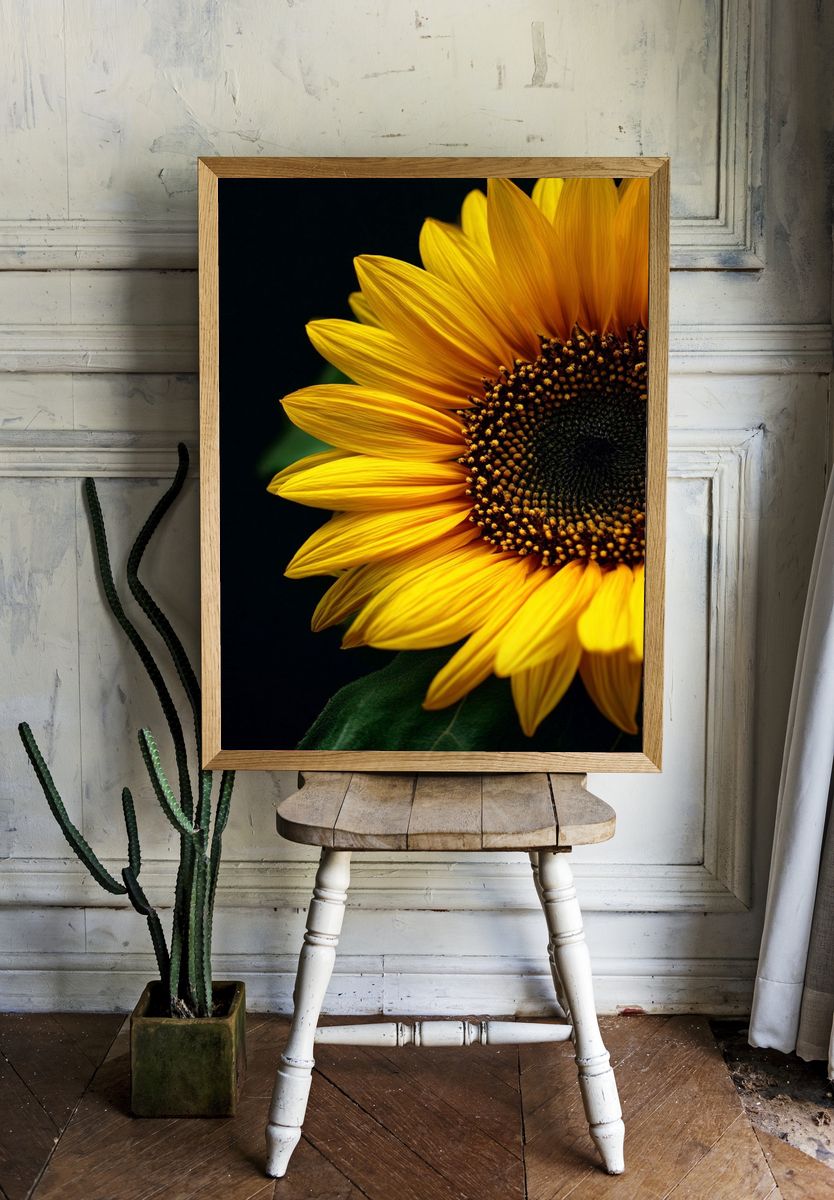 Sunflower Close-Up Poster. — room view 1