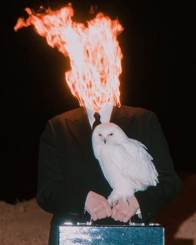 Surreal Flaming Head with Owl Print. poster print