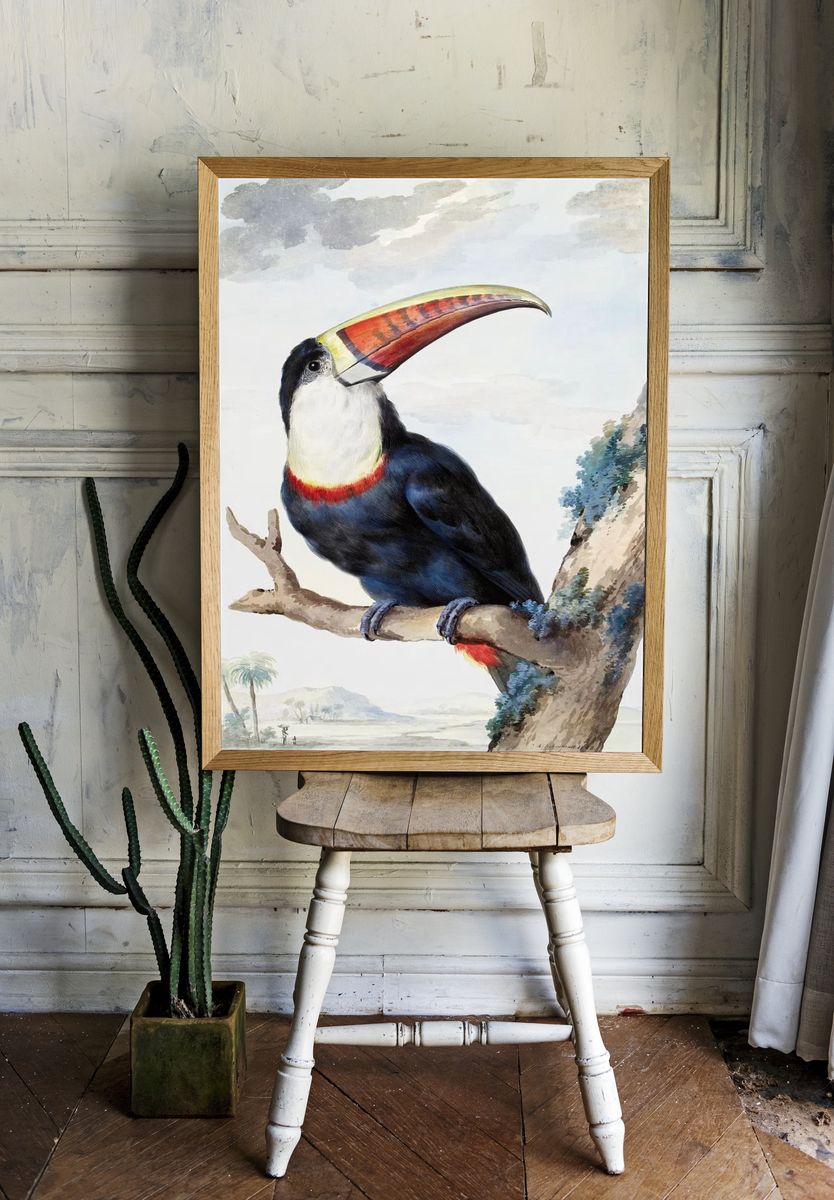 Red-billed Toucan (1748) painting high. — room view 1