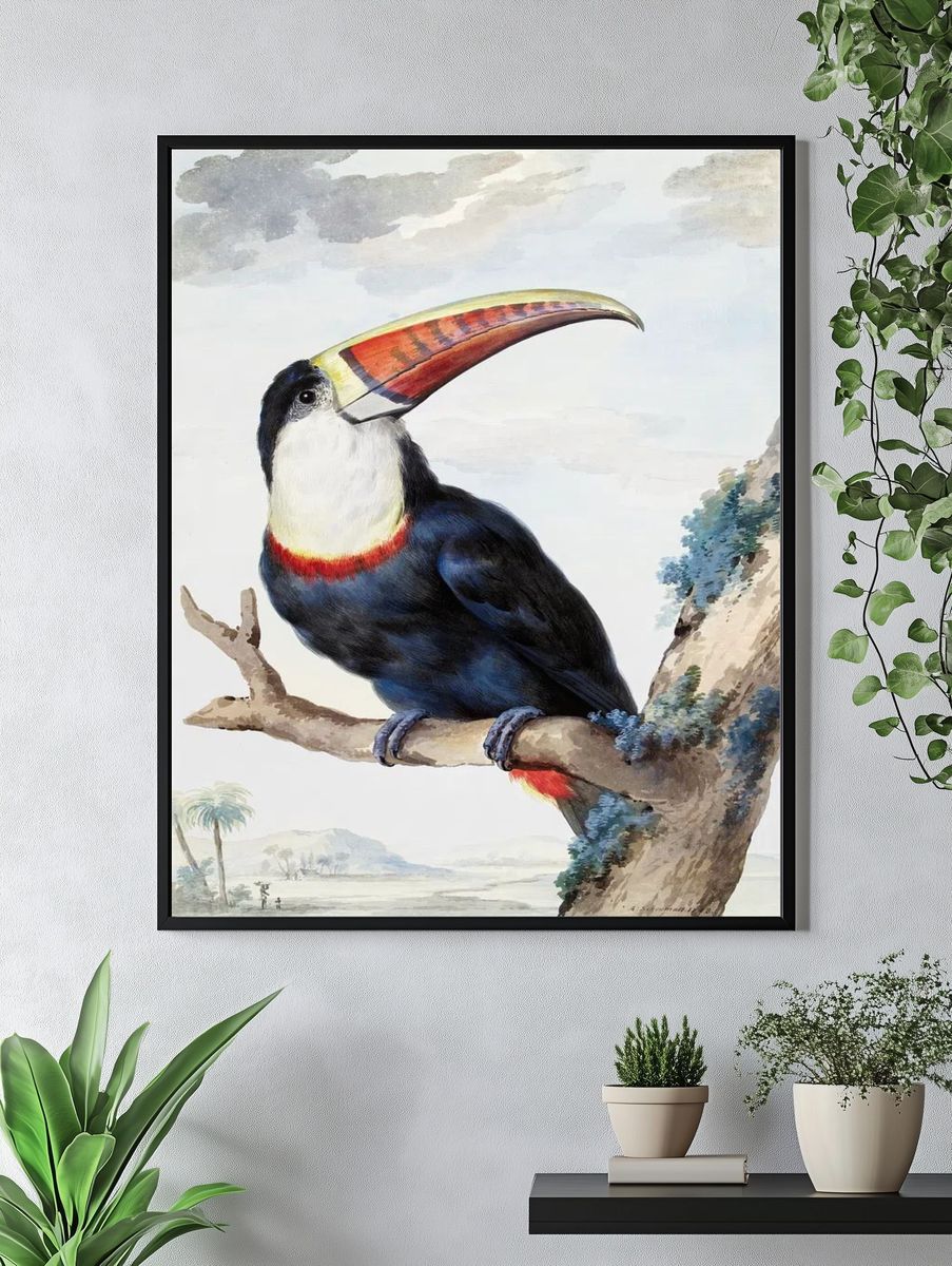Red-billed Toucan (1748) painting high. — room view 4