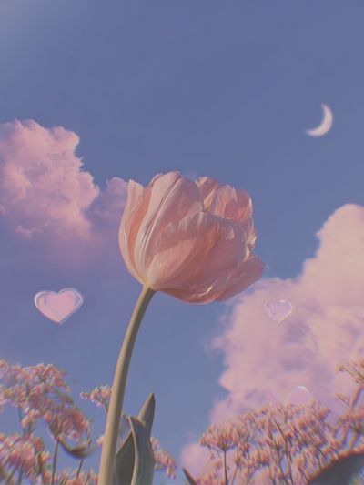 Dreamy Tulip Sky Poster. poster print