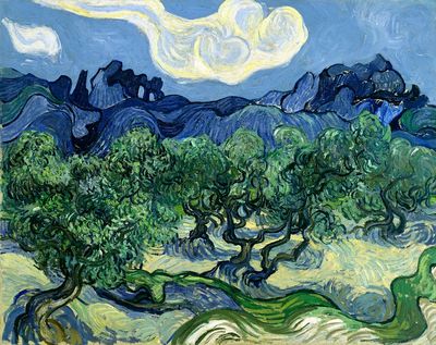 Vincent van Gogh's Olive. poster