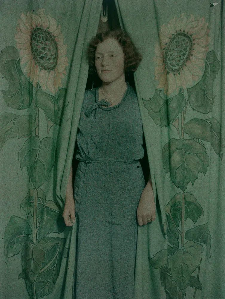 Woman sunflower print curtains (1900-1930). poster detail