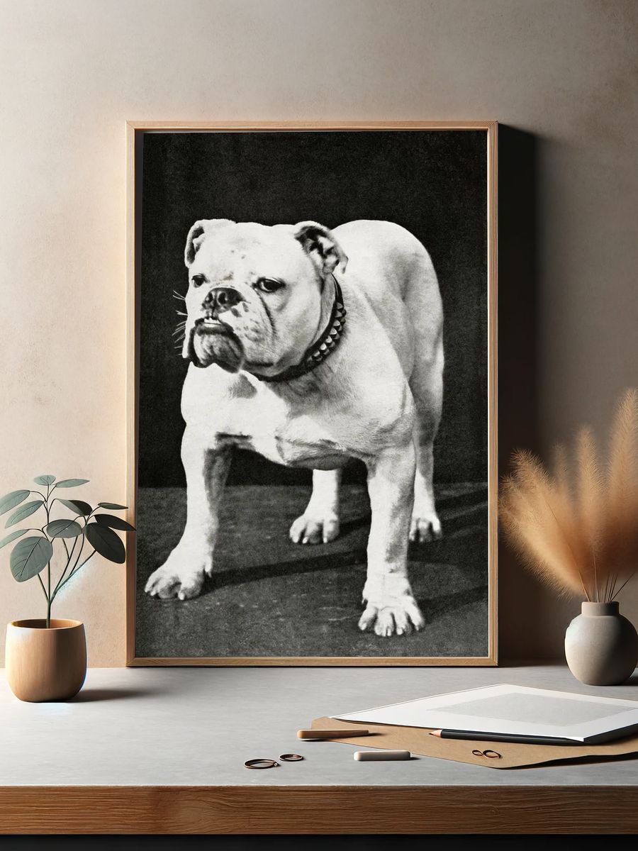 Dogs and All About Them — Vintage Print. — room view 2