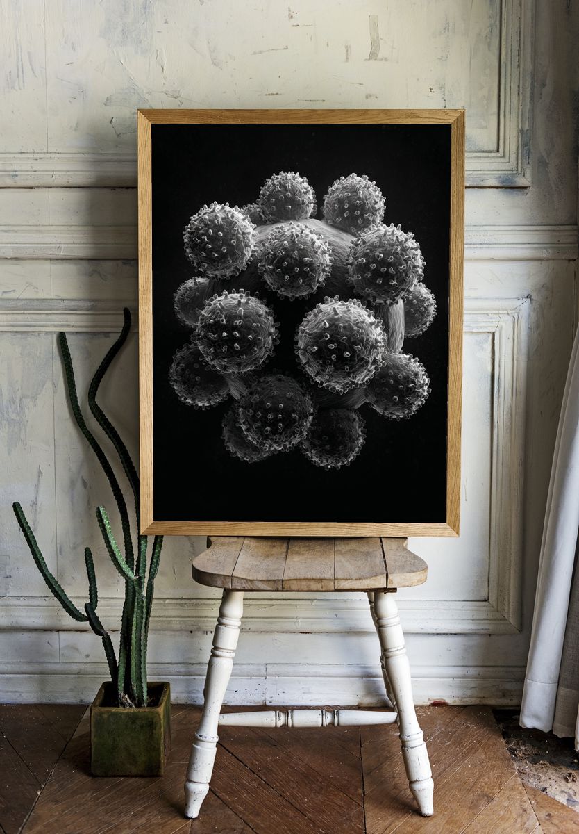 Virus Structure — Fine Art Print. — room view 1