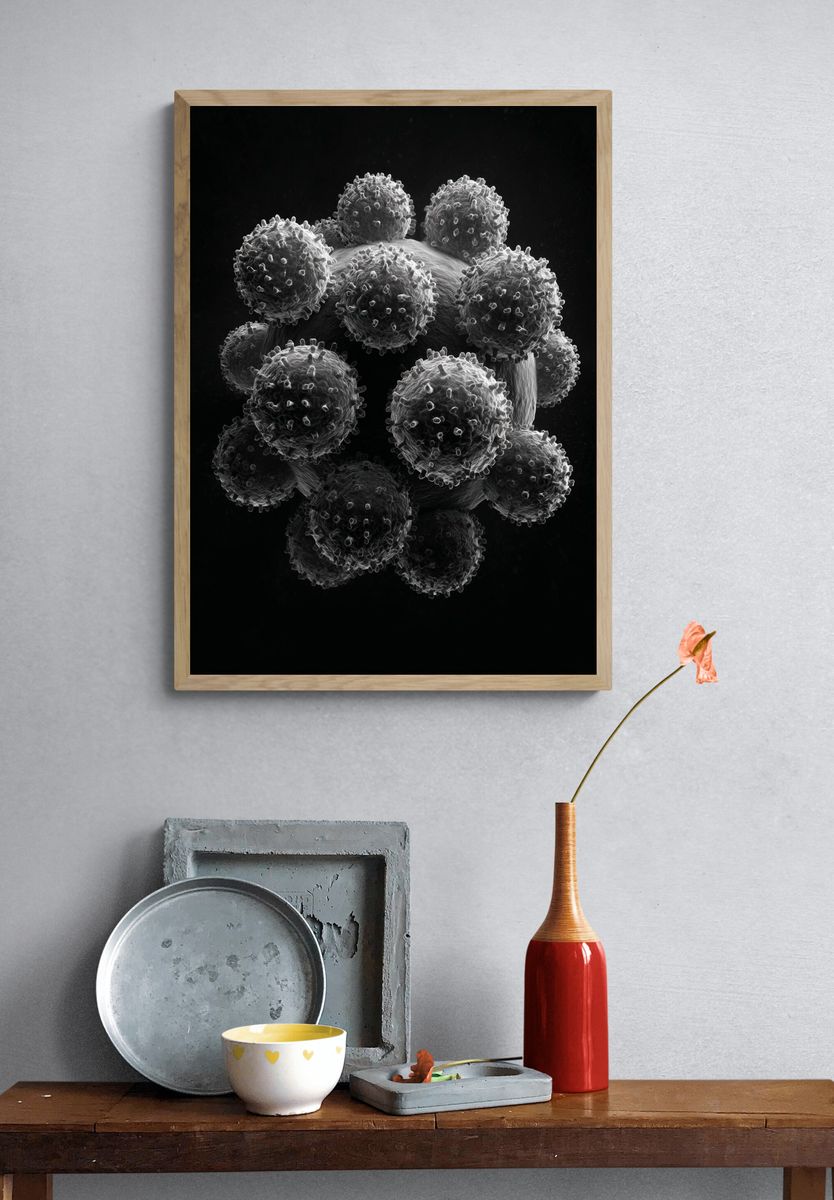 Virus Structure — Fine Art Print. — room view 3