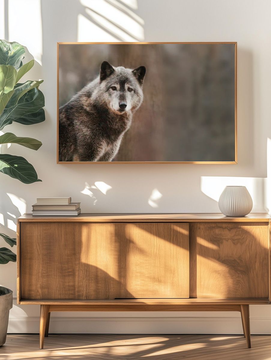 Majestic Wolf Portrait — Animal Photography Print. — room view 3