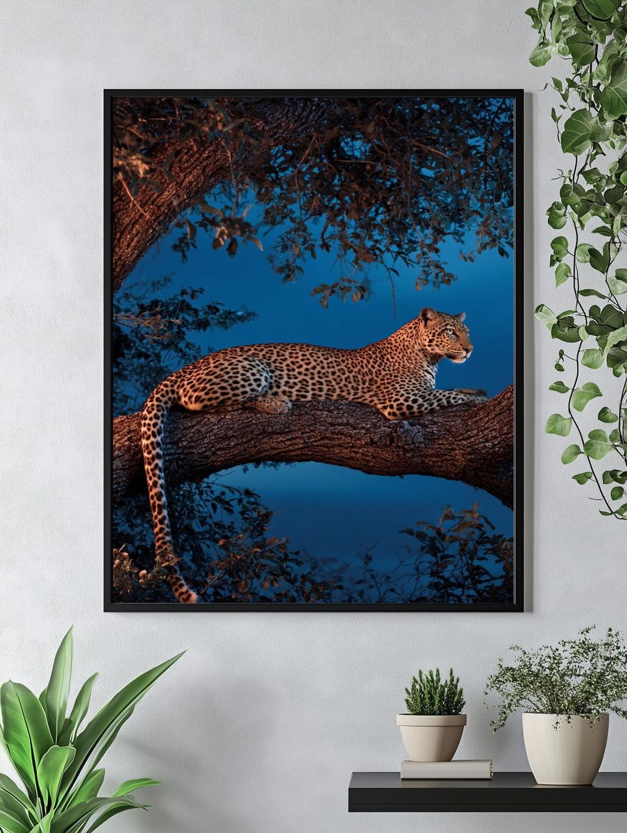 Leopard in a Tree — Wildlife Photography Poster. — room view 4
